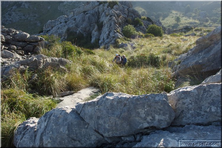 PA151064.JPG