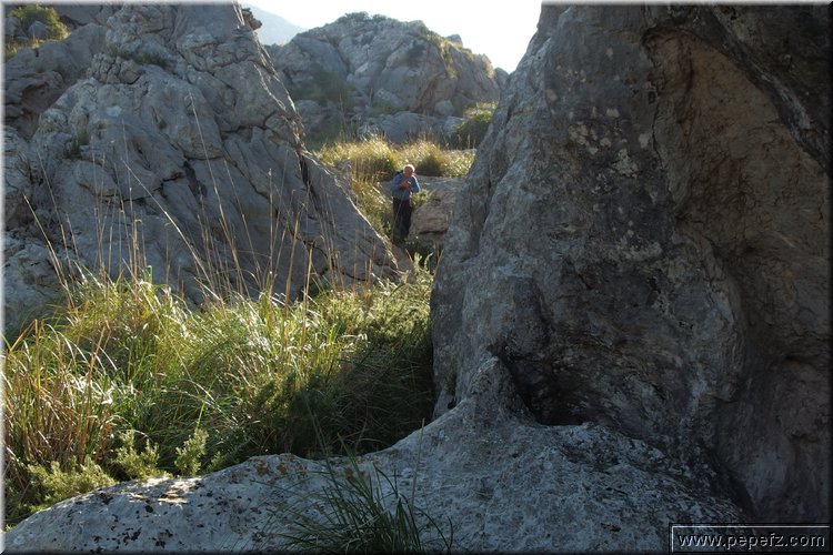 PA151069.JPG