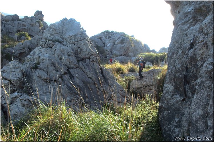 PA151071.JPG
