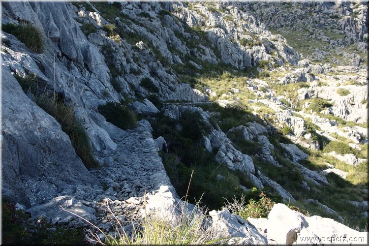 PA151077.JPG