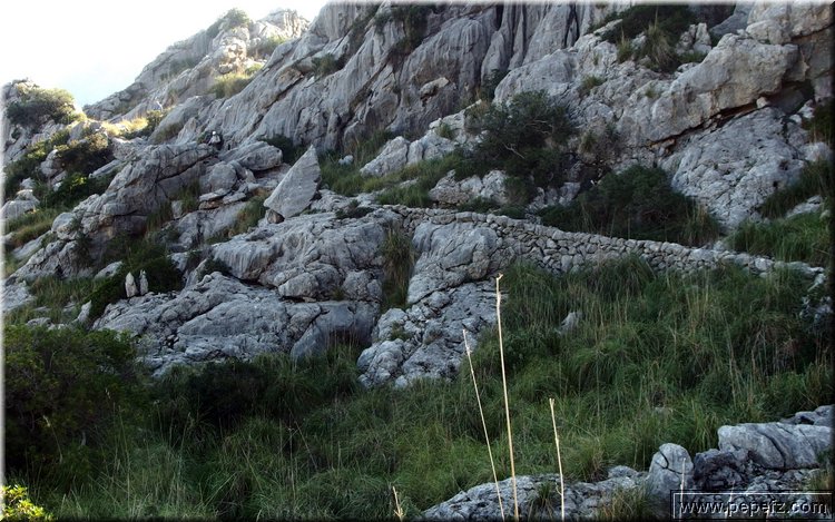 PA151080.JPG