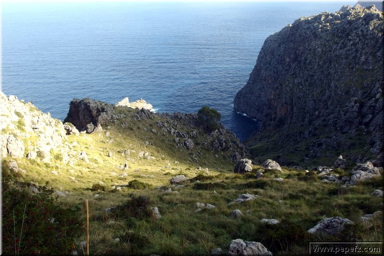 PA151084.JPG