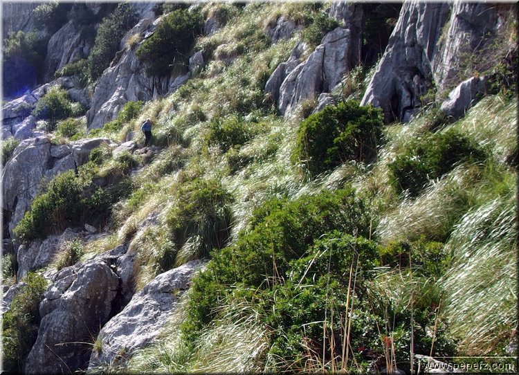 PA151085.JPG