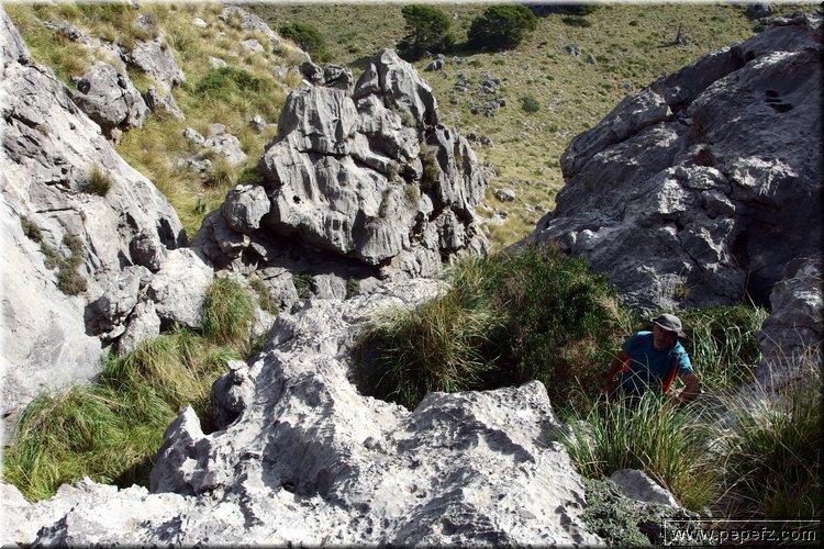 PA151108.JPG