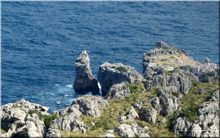 PA151139.JPG