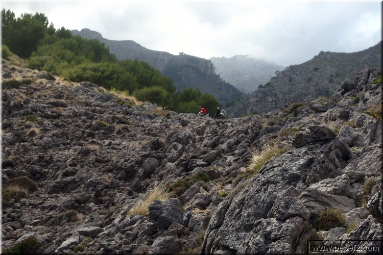 PA151158.JPG