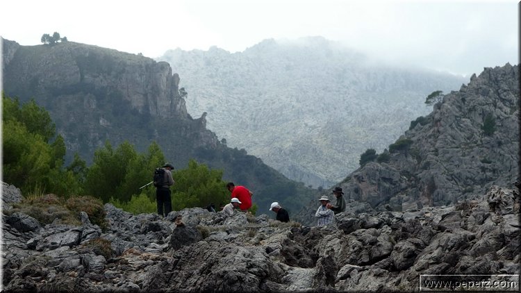 PA151160.JPG