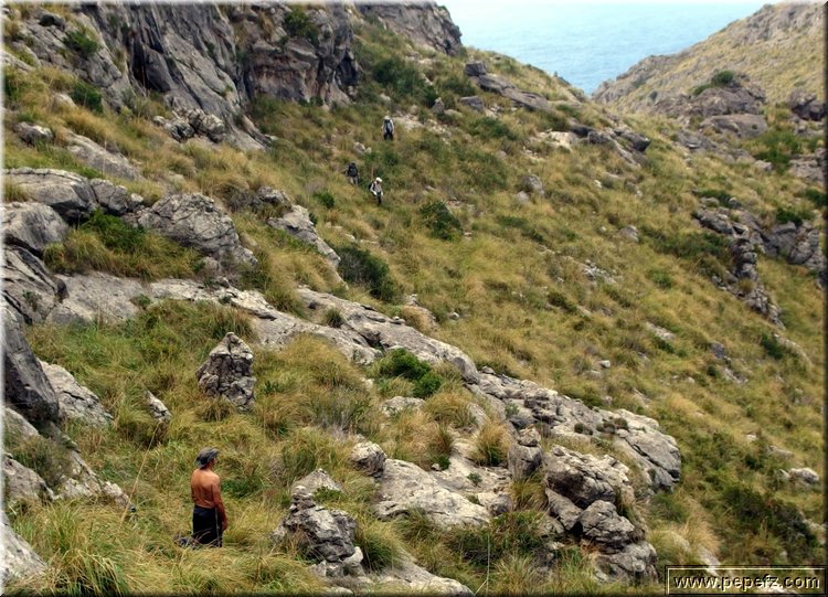 PA151165.JPG