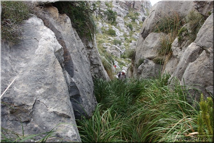 PA151172.JPG