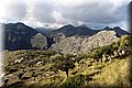 PA151061.JPG