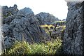 PA151071.JPG