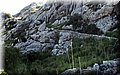 PA151080.JPG