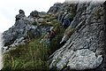 PA151143.JPG