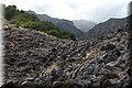 PA151158.JPG