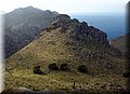 PA151167.JPG