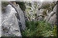 PA151172.JPG