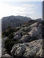 IMG-20151213-WA0036.jpg