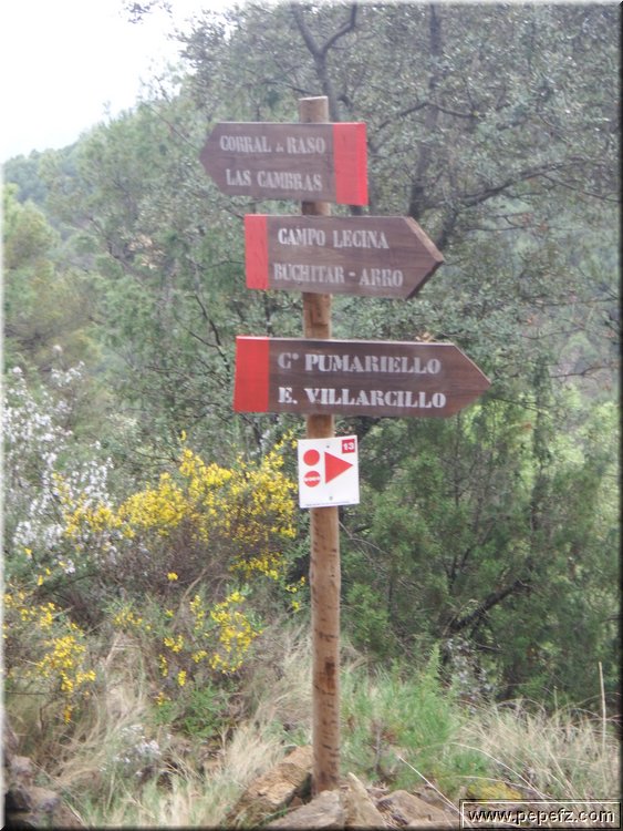 zona 0 095.jpg