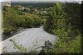 P4240600.JPG