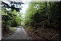 P4260766.JPG