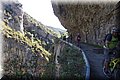 P4270854.JPG