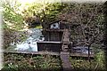 P4270939.JPG