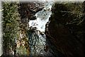 P4271013.JPG