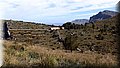 P3281761.JPG