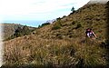P3281764.JPG