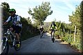 P4182340.JPG