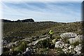 P4182347.JPG