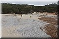 P4182404.JPG