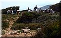 P4182486.JPG