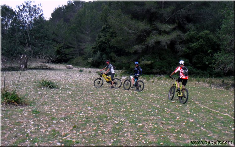 04250134.JPG