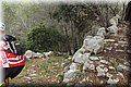 P4252780.JPG