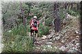 P4252782.JPG