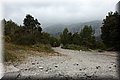 P4252799.JPG