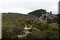 P4252801.JPG