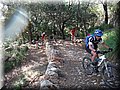 2015_05230009.JPG