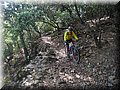2015_05230014.JPG