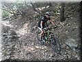 2015_05230016.JPG