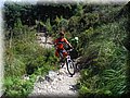 2015_05230026.JPG
