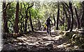 P5230608.JPG