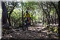 P5230610.JPG
