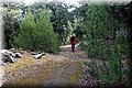 P5230611.JPG