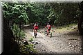 P5230625.JPG