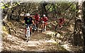 P5230634.JPG
