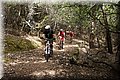 P5230636.JPG