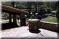 P5230640.JPG