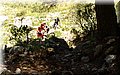 P5230665.JPG